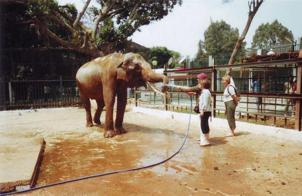 28 VOYAGE A ORAN 2005 LE ZOO.JPG